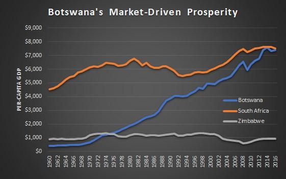 Mar-29-18-Bot-v-SA-v-Zim.jpg