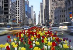 Chicago Chicago