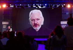assange flickr.jpg