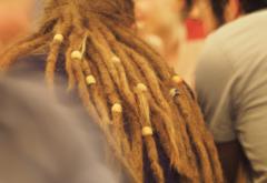 dreadlocks-844859.jpg