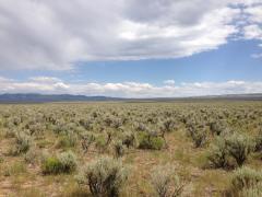 2013-07-07_15_41_55_Sagebrush-steppe_in_south-central_Idaho_along_3_Creek_Road.jpg