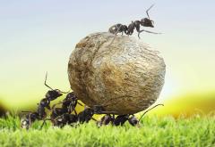 are entrepreneurs naturally talented