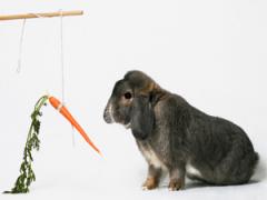 iStockphoto6770 iStockphoto6770