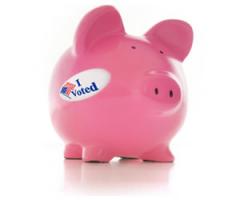 PiggyBankVoted.jpg