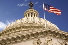 United_States_Capitol_Dome_and_Flag.jpg