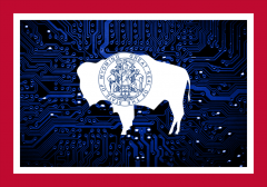 Wyoming Crypto.png