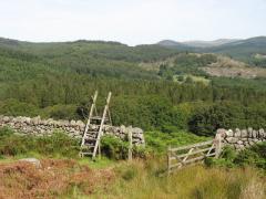 open_gate_and_hillside.jpg