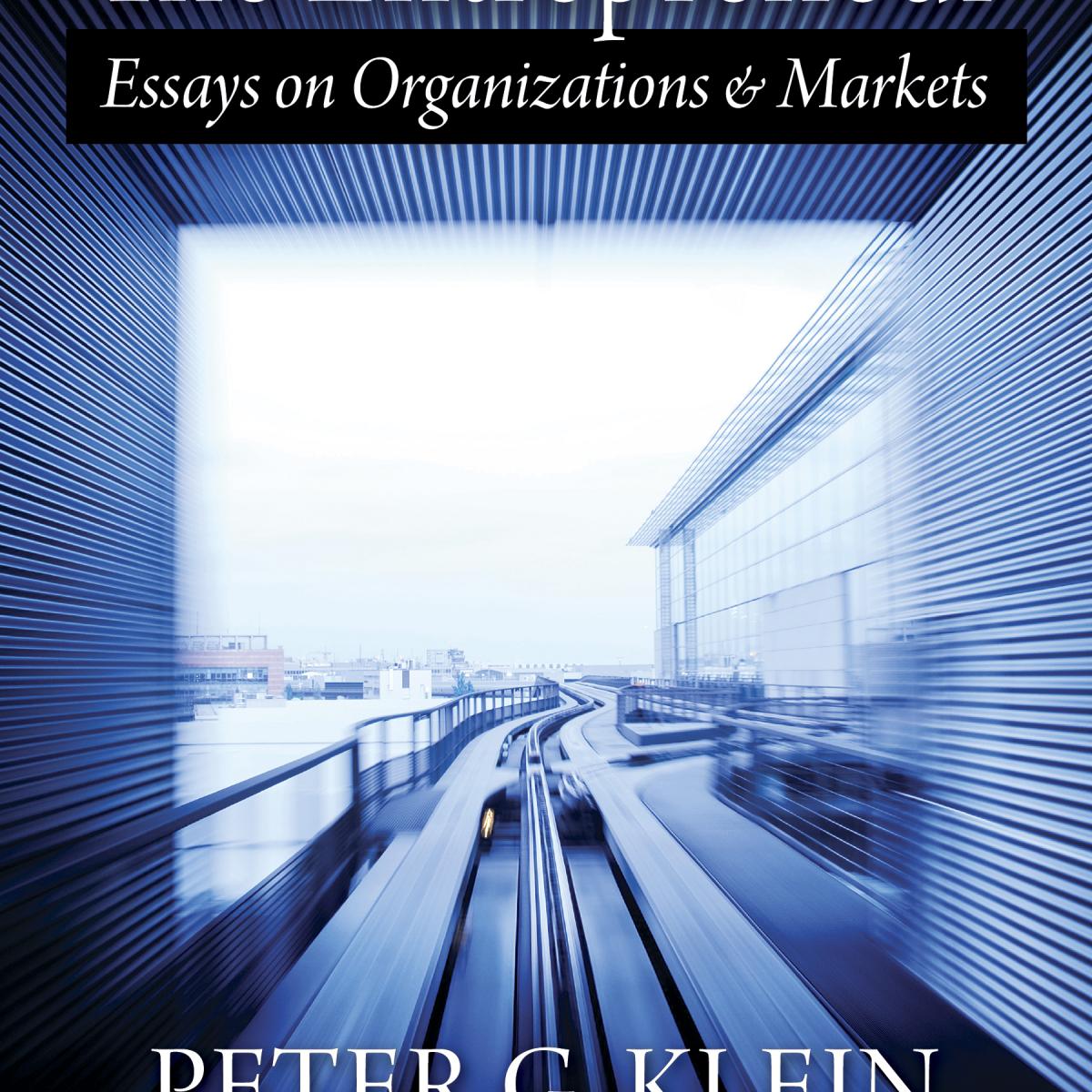 Describe the laissez-faire policy image